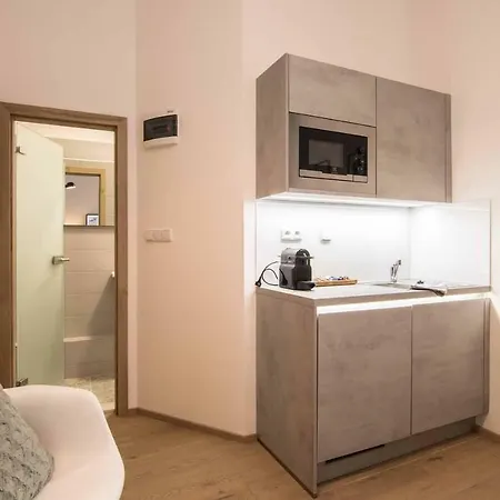 Apartment Place And Comfort Brno